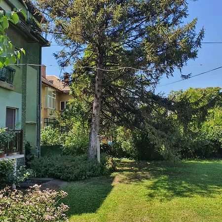 Quiet Place Markovic *